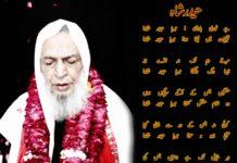 Haider Shah