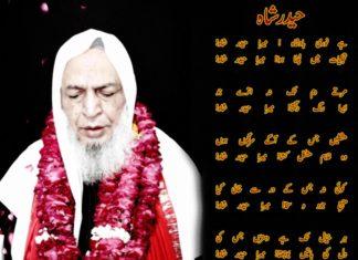 Haider Shah