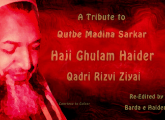 A Tribute To Qutbe Madina Sarkar Haji Ghulam Haider Qadri Ziayee