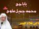 Baba Muhammad Jameel Alvi RA| بابا محمد جمیل علویؒ| سرکار حاجی غلام حیدر قادری