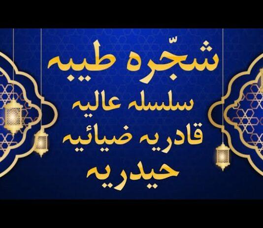 شجرہ طریقت حضرت حاجی غلام حیدر قادری ضیائی