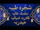 شجرہ طریقت حضرت حاجی غلام حیدر قادری ضیائی